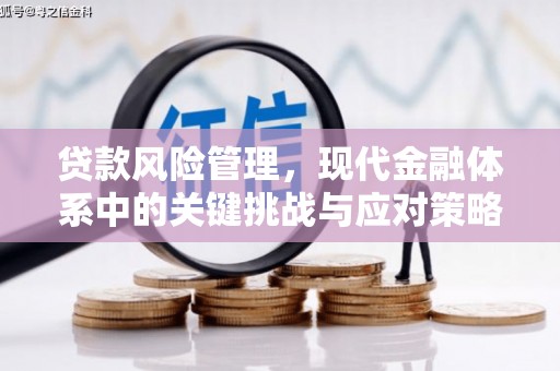 新市贷款风险管理，现代金融体系中的关键挑战与应对策略