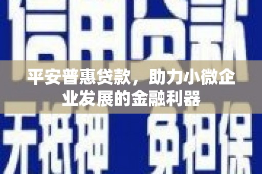 新市平安普惠贷款，助力小微企业发展的金融利器