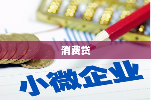 新市消费贷