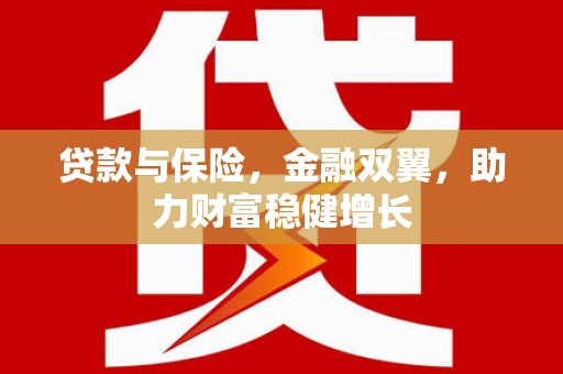 新市贷款与保险，金融双翼，助力财富稳健增长