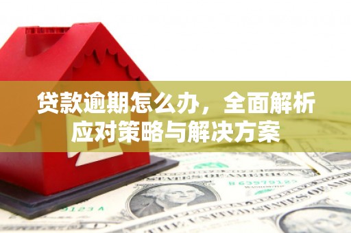 新市贷款逾期怎么办，全面解析应对策略与解决方案