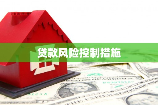 新市贷款风险控制措施