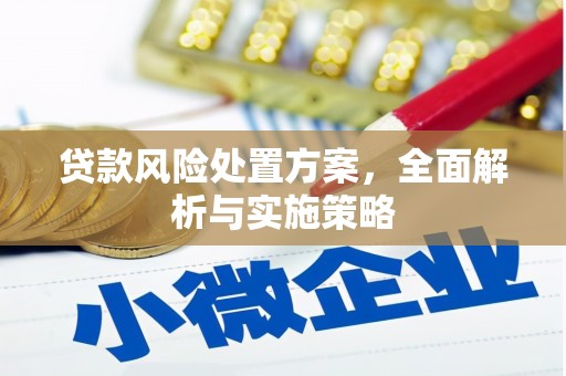 新市贷款风险处置方案，全面解析与实施策略